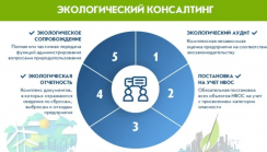 Экологический консалтинг
