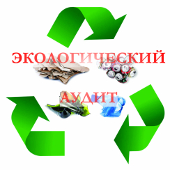 Экологический аудит